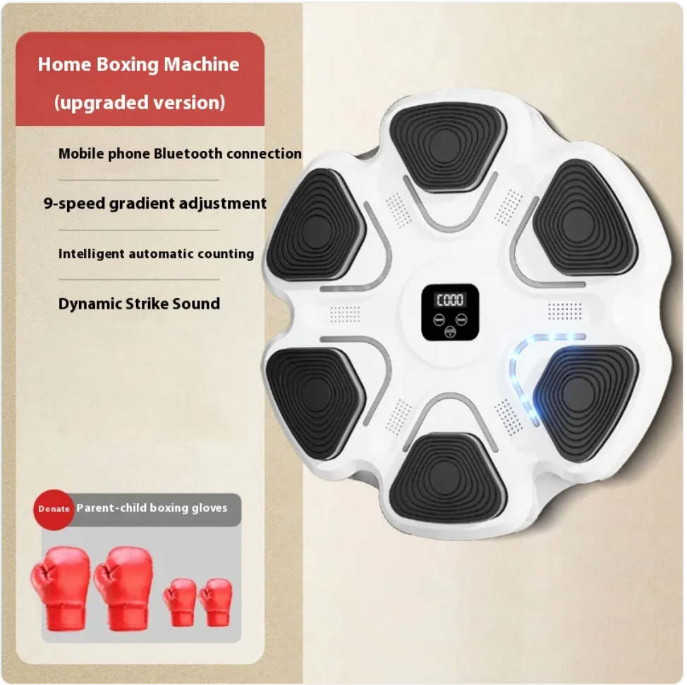 AURUM BOXING TARGET — zones de frappe